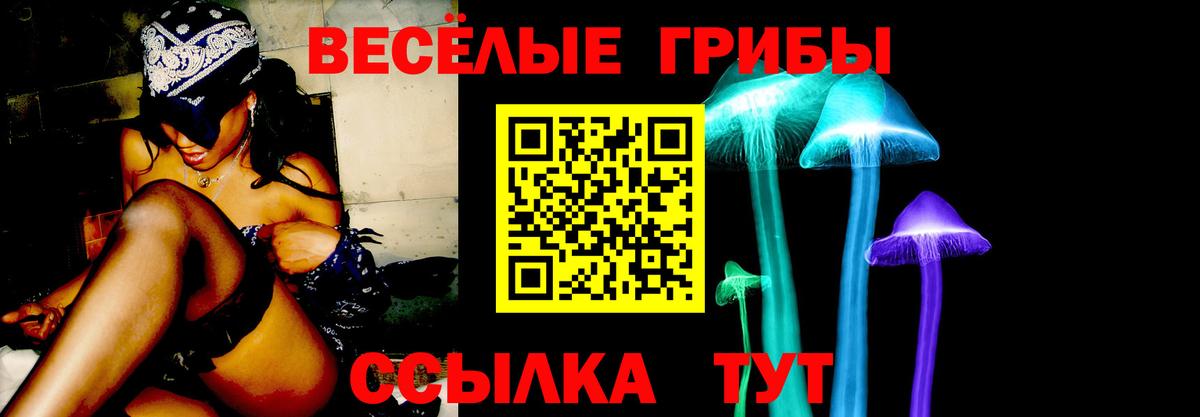 Галлюциногенные грибы Psilocybine cubensis  Вход с VPN  Норильск 